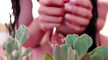 Zia xo succulent glass tentacle dildo wet & messy look dildos porn video manyvids on myfans.pics